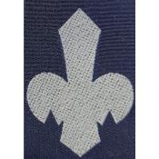 Insigne de Fleur