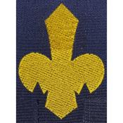 Insigne de Fleur