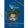 Cartes et Boussoles (Boîte à outils)