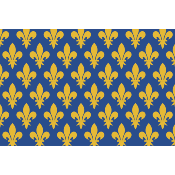 Pavillon de r�gion SUF 150 x 225 cm