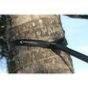 Sangle fixation hamac  Moon Straps