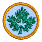 Badge Eclaireur & Brevet Guide