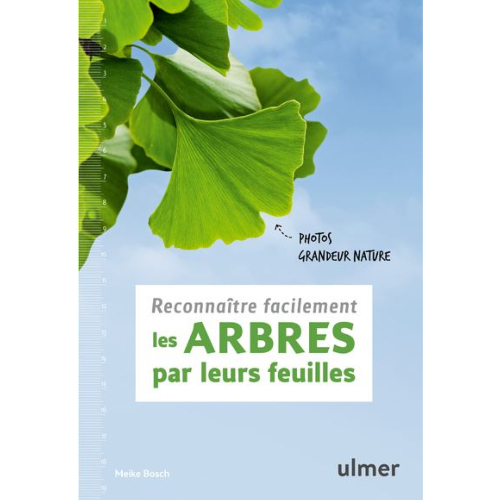 Reconnaître facilement les arbres par leurs feuilles